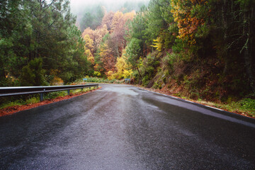 wet road in the fall