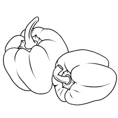 illustration of pepper 