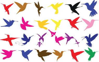 Colorful hummingbird silhouettes vector illustration isolated on white, Dive into the world of avian art with this stunning set, perfect choice for nature enthusiasts,  and bird lovers