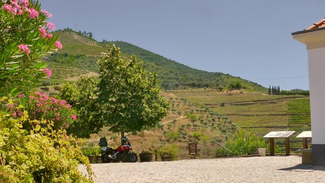 Shot of Quinta do Tedo vineyard with river passing through the valley in Douro wine region, Porto, Portugal on a sunny day.