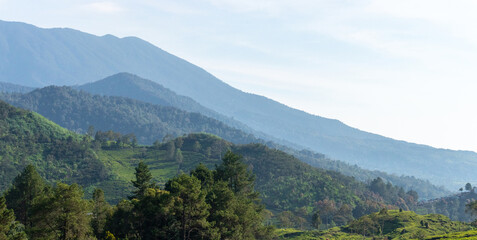 View of tea plantation, after some edits.