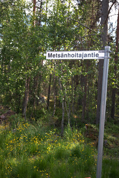 夏のフィンランド・イナリの森の道