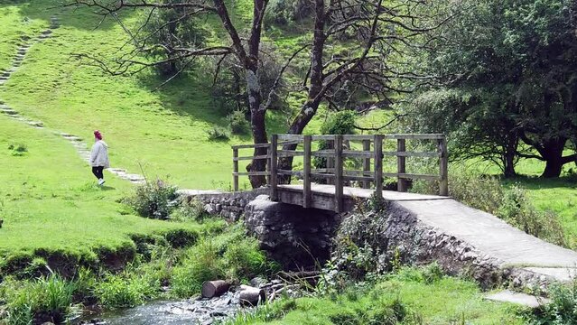Female with red dreadlocks walking up grass hill playing with puppy, Slow motion with wooden rustic bridge in foreground