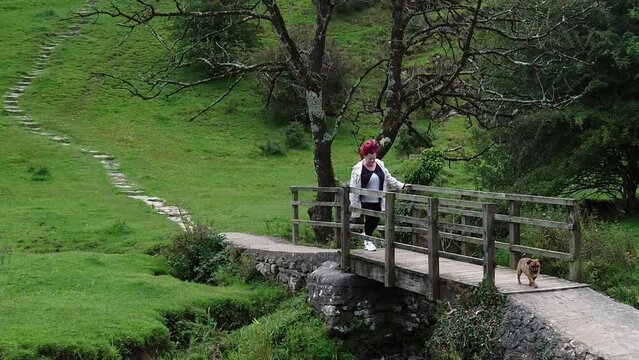 Female with red dreadlocks walking across rustic wooden bridge crossing stream with puppy, Slow motion