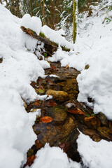 Creek in the forest in winter