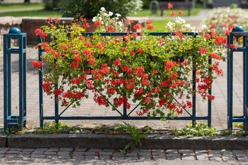 a railing with flower decoration in the city