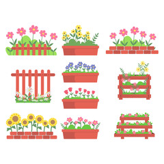 Flower Plant Illustration