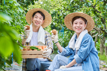 한국 전원생활 농촌 농부 농장에서 농작물 고추 감자 당근이 담긴 박스를 들고 감자를 들고 카메라 응시하며 미소짓고 있는 젊은청년 부부 커플 모습