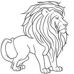 aslan, vector illustration line art