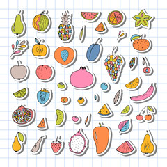 Set of hand drawn fruit and berries icons. Summer coloured fruit collection. Sketch, doodle. Stickers