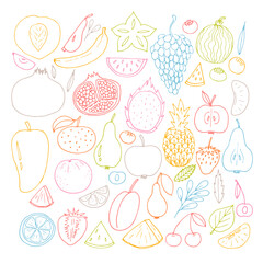 Set of hand drawn fruit and berries icons. Summer fruit collection. Sketch, doodle style