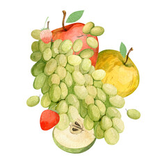 Composition on a white background from watercolor illustrations of fruits
