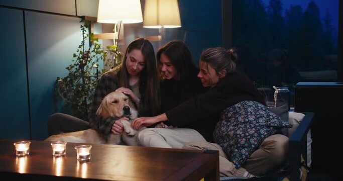 A trio of girls are sitting on a dewan and chatting, they are playing with their light-colored dog in a cozy room in the evening