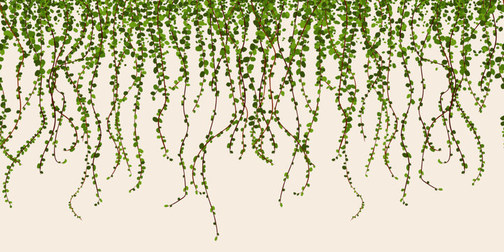 Green foliage wall vector illustration, climbing plant leaves seamless horizontal pattern © Richard Laschon