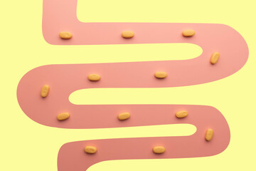 Creative idea of probiotics capsules or medicine pills absorbed in small intestine. Concept of...