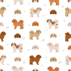 Obraz premium Cavachon seamless pattern. Cavalier King Charles Spaniel Bichon Frise mix. Different coat colors set