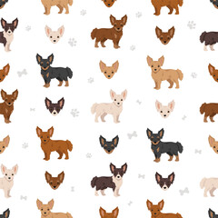 Chipoo seamless pattern. Chihuahua Poodle mix. Different coat colors set