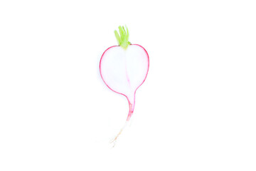 Fresh radish sliced half isolated on white background, Organic vegetable