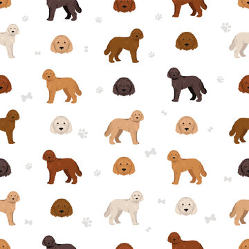Groodle Vector Groodle Images – Browse 18,513 Stock Photos, Vectors, and Video | Adobe ...