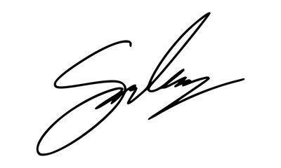Abstract Signature Idea Starting With Letter S for Document. Vector with Transparent Background.