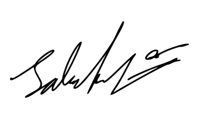 Abstract Signature Idea Starting With Letter S for Document. Vector with Transparent Background.