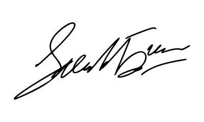 Abstract Signature Idea Starting With Letter S for Document. Vector with Transparent Background.