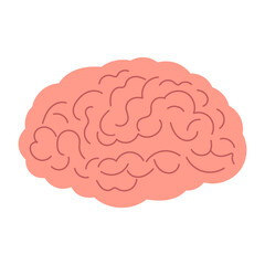 Human Brain flat vector icon for graphic design projects. Organ of nervous system