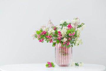 pink and white spring  blooming branches in modern glass vase on white background