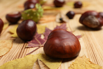 Brown chestnut fruits with yellow leaves on a wooden background