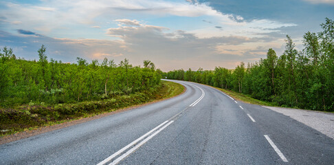 Fototapeta premium Asphalt road in tundra landscape with low trees