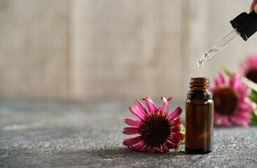 Dropping essential oil or herbal tincture into a glass bottle, with echinacea flowers - obrazy, fototapety, plakaty