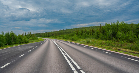 Asphalt road in nice coniferous forest.