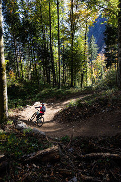 Mountainbiker im Sonnenlicht auf dunkler Waldabfahrt
