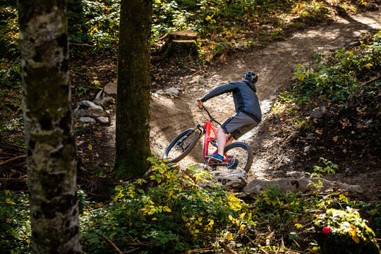 Mountainbiker in enger Waldabfahrt
