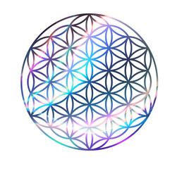 flower of life cosmos style