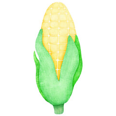 Healthy Dietary Culture, vegetable, Color ful