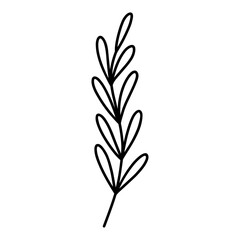 Fototapeta na wymiar Cute branch with leaves isolated on white background. Vector hand-drawn illustration in doodle style. Perfect for cards, logo, decorations, various designs. Botanical clipart.