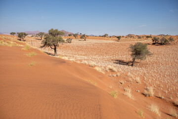 Désert de dunes au porte du Namib, Sud-Est de la Namibie