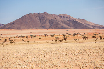 Fototapeta na wymiar Désert de dunes au porte du Namib, Sud-Est de la Namibie