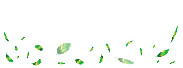 yellow green leaves flying in the air