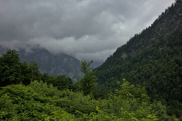 Wooded mountain slopes and mountain ranges with silhouettes of evergreen coniferous trees shrouded in mist. Mystical landscape in the Alps, Austria.
