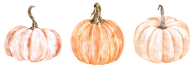 A watercolor illustration of pastel-colored pumpkins, isolated on white background. Set of three fall plants. Botanical painting. PNG clipart.