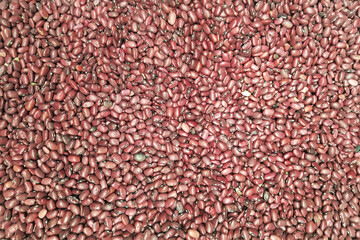 Organic kidney bean texture background