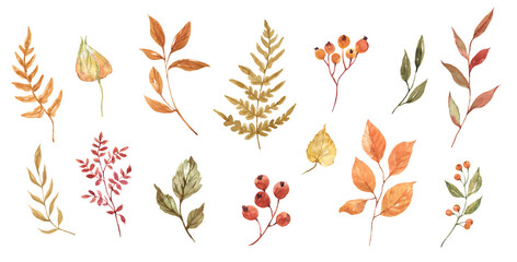 Fall foliage, watercolor illustration. Red, orange, and brown tree leaves. Set of hand-drawn autumn plants. Natural elements. PNG clipart.