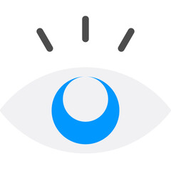 Eye Icon