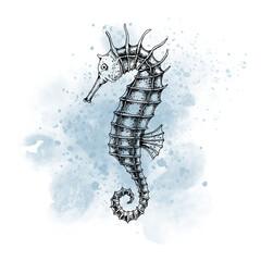 Seahorse with watercolor spot. Drawing of Sea horse in outline style painted by black inks on isolated background. Line art of underwater animal. Sketch of marine wild life for icon or logo. © Alisles