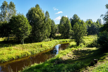 Fototapeta na wymiar Beautiful summer river at sunny day with clouds reflection in the water