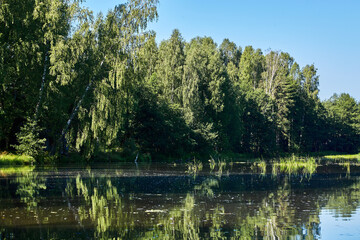 Fototapeta na wymiar Beautiful summer riverbank at sunny day with reflection in the water