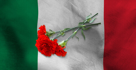 three red carnations lying on the flag of Mexico