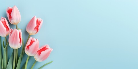 Top view tulip flowers on light blue blank paper background, Copy space, generative ai. Mother's Day Concept. Feminine concept, generative ai